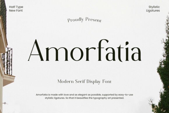 Amorfatia: A Serif Font That Elevates Brand Design